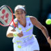 Caroline Garcia (Photo by Icon sport)