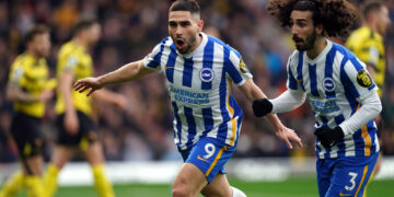 Neal Maupay Brighton