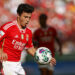 Joao Neves avec Benfica  (Photo by Joao Rico/DeFodi Images)   - Photo by Icon Sport