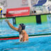 Romain Marion-Vernoux of France seen in action during the friendly water polo match between Italy and France in the 60th Settecolli International Swimming Championships at Stadio del Nuoto Foro Italico. Italy national team beats France with a score 10-5. (Photo by Davide Di Lalla / SOPA Images/Sipa USA)   - Photo by Icon Sport