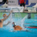 Edoardo Di Somma of Italy (R) and Emil Morgen Bjorch of France (L) seen in action during the friendly water polo match between Italy and France in the 60th Settecolli International Swimming Championships at Stadio del Nuoto Foro Italico. Italy national team beats France with a score 10-5. (Photo by Davide Di Lalla / SOPA Images/Sipa USA)   - Photo by Icon Sport