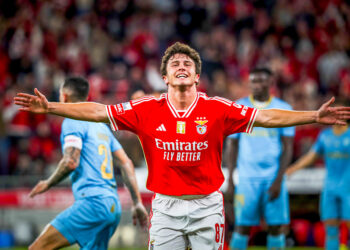 Joao Neves avec Benfica - Photo by Icon Sport